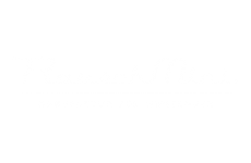 Rauschmini
